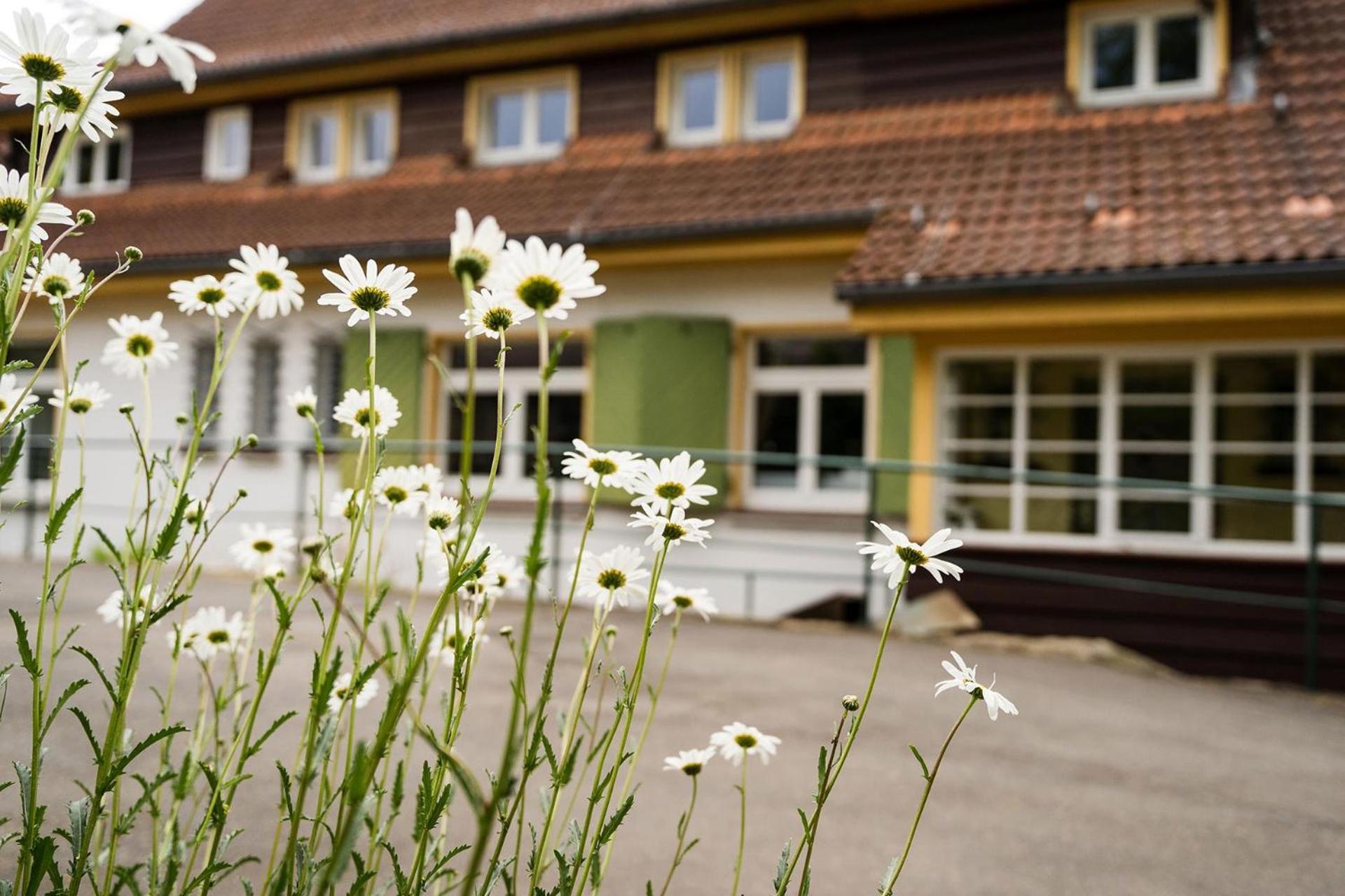 Pension Zum Hexenstieg Schierke Exterior foto